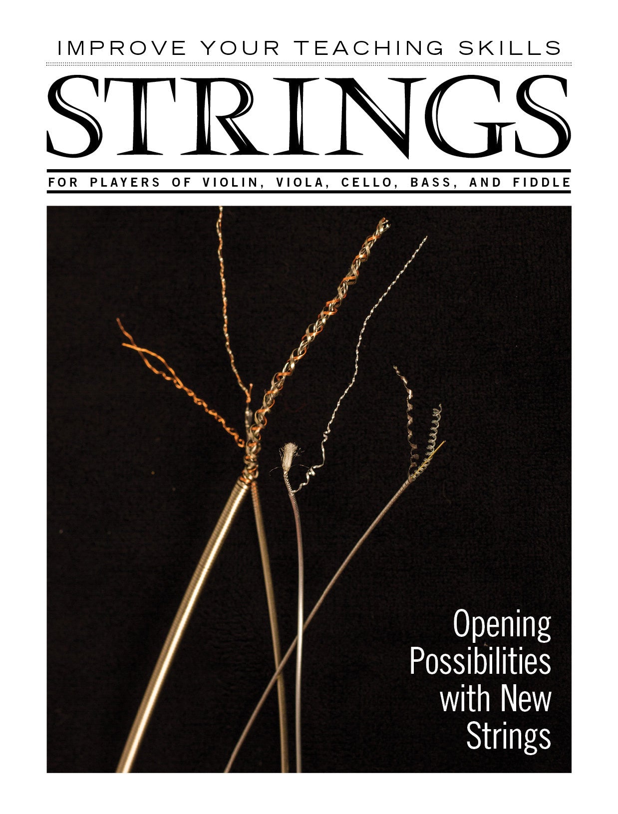 Improve Your Teaching Skills:  Opening Possibilities with New Strings
